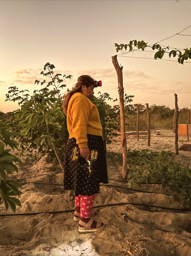 Nancy con su taladro al atardecer en la granja